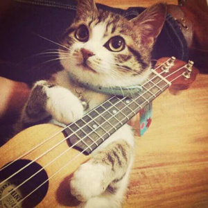 美女心研大尺度写真图片
